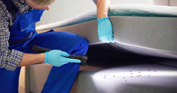 Best Commercial Pest Control Services  in Cottage City, MD