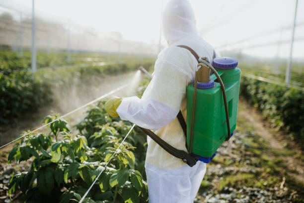 Best Flea Control Services  in Cottage City, MD
